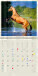 Kalendár Horses - LP03-27_015 - variant He LP03-27