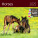 Nástenný kalendár Horses - lp03-25-013 - variant