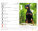Kalendár Psíčkovia - SM13-27_001 - variant He SM13-27