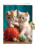 Pamätník so zámkom Kittens play - cmz0596 - variant