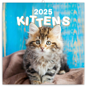 Poznámkový kalendár Mačiatka 2025, 30 × 30 cm - Reklamnepredmety