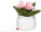 Schmoozies® Evergreenies® Tulip - mbw160850-2-back - variant 