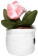 Schmoozies® Evergreenies® Tulip - mbw160850-4-side - variant 