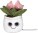 Schmoozies® Evergreenies® Tulip - mbw160850 - variant 