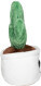 Schmoozies® Evergreenies® Cactus - mbw160851-4-side - variant 