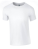 G64000 Softstyle® T- Shirt - G64000_White - variant Ls 1000321066