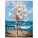 Nástenný kalendár Salvador Dalí 2026 - N06-26_OB - variant Sp N06-26