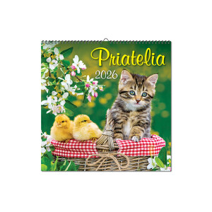 Nástenný kalendár Priatelia 2026 - Reklamnepredmety