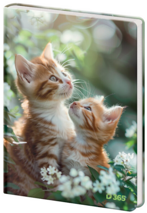 Pamätník A5 13x18cm čistý Tabby - Reklamnepredmety