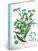 NOTIQUE 18-mesačný diár Petito – Herbár 2025/2026, 11 x 17 cm - pgd-35534-v_tit - variant Pg PGD-35534-V