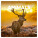 NOTIQUE Poznámkový kalendár Divoké zvieratá 2026, 30 x 30 cm - pgp-35487-v_tit - variant Pg PGP-35487-V