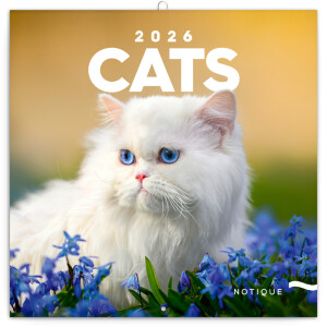 NOTIQUE Poznámkový kalendár Mačky 2026, 30 x 30 cm - Reklamnepredmety