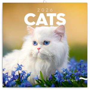 NOTIQUE Poznámkový kalendár Mačky 2026, 30 x 30 cm - Reklamnepredmety