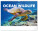 NOTIQUE Nástenný kalendár Podmorský svet 2026, 48 x 33 cm - pgn-35508-l_tit - variant Pg PGN-35508-L