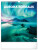 NOTIQUE Nástenný kalendár Polárna žiara 2026, 30 x 34 cm - pgn-35509-l_tit - variant Pg PGN-35509-L