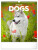 NOTIQUE Nástenný kalendár Psy 2026, 30 x 34 cm - pgn-35226-l_tit - variant Pg PGN-35226-L