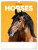 NOTIQUE Nástenný kalendár Kone 2026, 30 x 34 cm - pgn-35224-l_tit - variant Pg PGN-35224-L