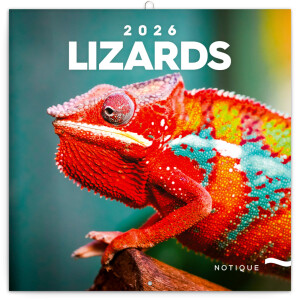 NOTIQUE Poznámkový kalendár Jaštery 2026, 30 x 30 cm - Reklamnepredmety