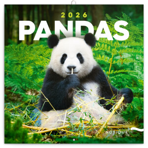NOTIQUE Poznámkový kalendár Pandy 2026, 30 x 30 cm - Reklamnepredmety