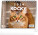 NOTIQUE Stolový kalendár Mačky – s menami mačiek CZ 2026, 16,5 x 13 cm - pgs-35337_tit - variant Pg PGS-35337
