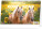 NOTIQUE Stolový kalendár Koně – Kone CZ/SK 2026, 23,1 x 14,5 cm - pgs-35346_tit - variant Pg PGS-35346