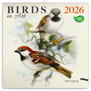 NOTIQUE Poznámkový kalendár Vtáčiky 2026, 30 x 30 cm - Reklamnepredmety