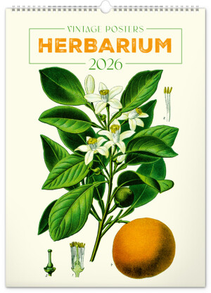NOTIQUE Nástenný kalendár Vintage plagáty – herbár 2026, 33 x 46 cm - Reklamnepredmety