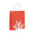 BAO SMALL - cx1564-05 - variant Mo CX1564-05