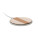 CORTLESS - mo2593-06-back - variant 