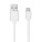CORTLESS - mo2593-06-picture4 - variant 