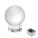 GLASSWARD - mo2655-22 - variant Mo MO2655-22