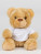 MM30 Bear in a T-Shirt - MM30_Brown - variant Ls 1000129620