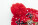 Norrsken Vianočná LED zimná čiapka, Santa Claus - ap800175-a-cu1 - variant 