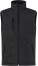 Pánska zateplená softshellová vesta - ps-670958-clique-padded-softshell-vest-men-black-front-97a3b1a8-b700-43a9-892a-812b70bf6619-web - variant