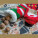 Vianočné ponožky - 74319mc_lifestyle_1 - variant M 74319MC