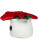 Schmoozies® Evergreenies® Vianočná hviezda - 2682493 - variant 