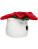 Schmoozies® Evergreenies® Vianočná hviezda - 2682494 - variant 