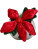 Schmoozies® Evergreenies® Vianočná hviezda - 2682495 - variant 
