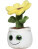 Schmoozies® Evergreenies® slnečnica - 2693657 - variant 