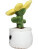 Schmoozies® Evergreenies® slnečnica - 2693659 - variant 