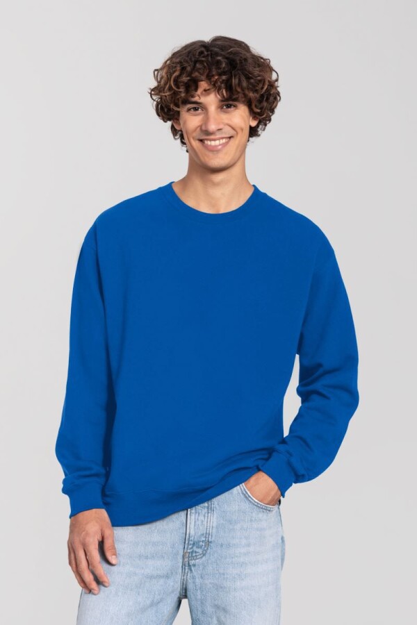 Mikina Iconic 250 Set-In Sweat