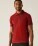 Unisex piqué polo z ťažkej bavlny TRS 101 - ls-36s101-regatta-trs-101-front-863f109d-1e74-4073-8160-7f1f1d26d3c0-web - variant 