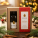 Darčekové balenie MIXBOX ZINGI - zingi-product-2-christmas-background-e1765186024236 - variant 