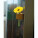 Magnet na chladničku s vázičkou - 7547013_lifestyle_1 - variant M 7547013