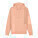 Cruiser 2.0 unisex hoodie - stsu177-fraichepeche_packshot_main_front - variant Eg STSU177C1011L