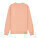 Unisex mikina Changer 2.0 - stsu178-fraichepeche_packshot_main_back - variant Eg STSU178C1011L