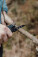 Nordic Drift Adventure multifunkčné kliešte - nd50004-nd5000401-1011 - variant 