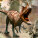 NOTIQUE Poznámkový kalendár Dinosaury 2027, 30 x 30 cm - pgp-36306-v_04 - variant Pg PGP-36306-V