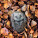 NOTIQUE Poznámkový kalendár Mláďatá 2027, 30 x 30 cm - pgp-36314-v_11 - variant Pg PGP-36314-V