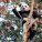 NOTIQUE Poznámkový kalendár Pandy 2027, 30 x 30 cm - pgp-36316-v_11 - variant Pg PGP-36316-V